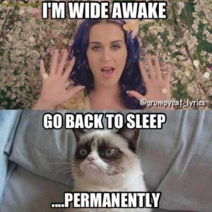 I Am Wide Awake Go Back To Sleep Permanently Funny Grumpy Cat Meme Image